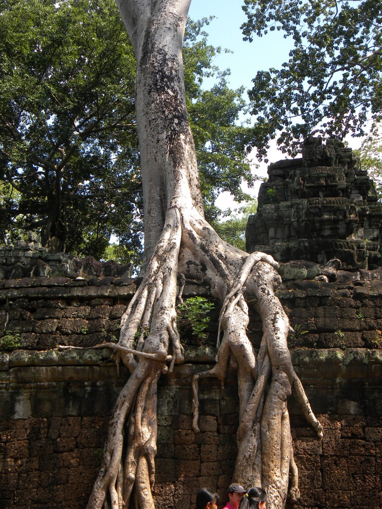 Angkor Thom, Naga, Phimeanakas, Apsaras, Ta Prohm, Vishnou, Ramayana, Mahabharata, 
