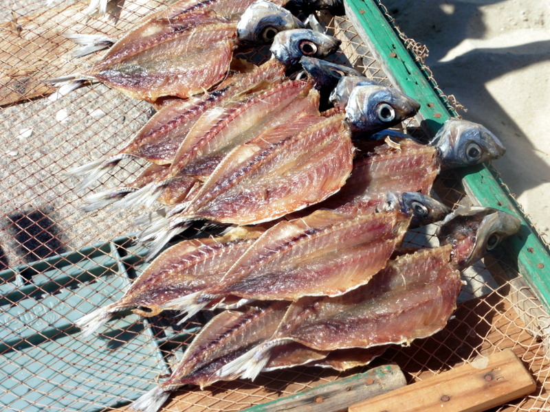 Séchage des sardines