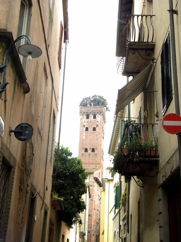 La tour Guinigui, Lucques, Toscane, Italie