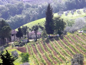 San Gimignano, Toscane, Italie