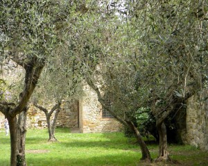 San Gimignano, Toscane, Italie