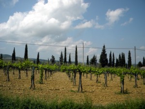 San Gimignano, Toscane, Italie