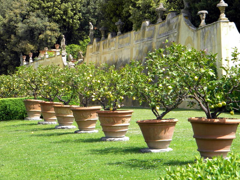 Fiesole, Toscane, Italie