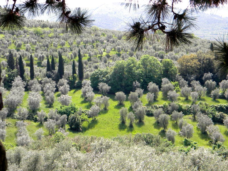 Fiesole, Toscane, Italie