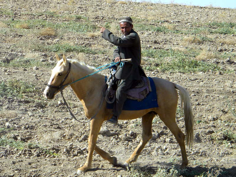 bozkatchi, ouzbékistan, steppe,  baïga, Kirghizes, oulak