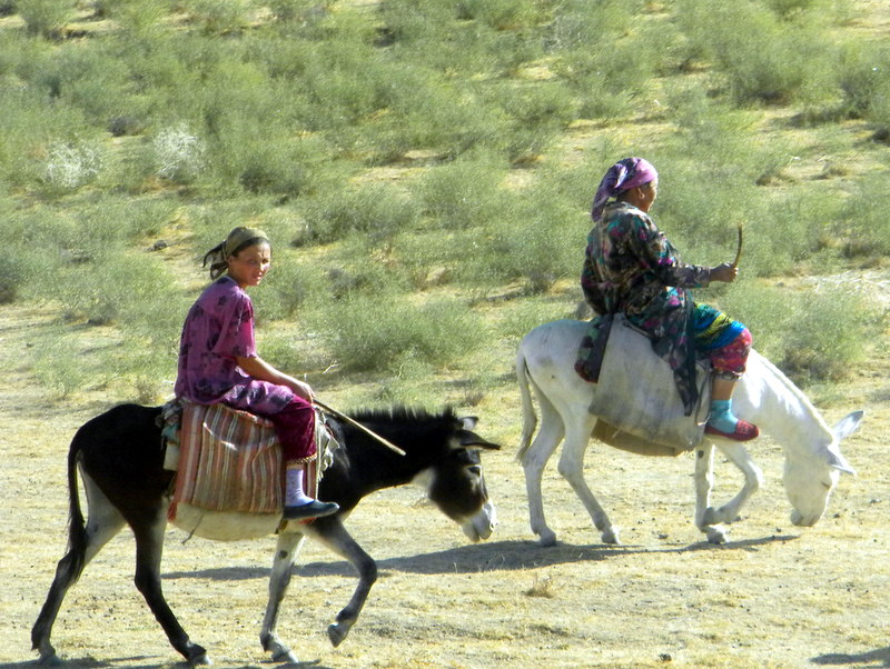 bozkatchi, ouzbékistan, steppe,  baïga, Kirghizes, oulak