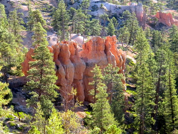 Lever de soleil sur Bryce Canyon 2