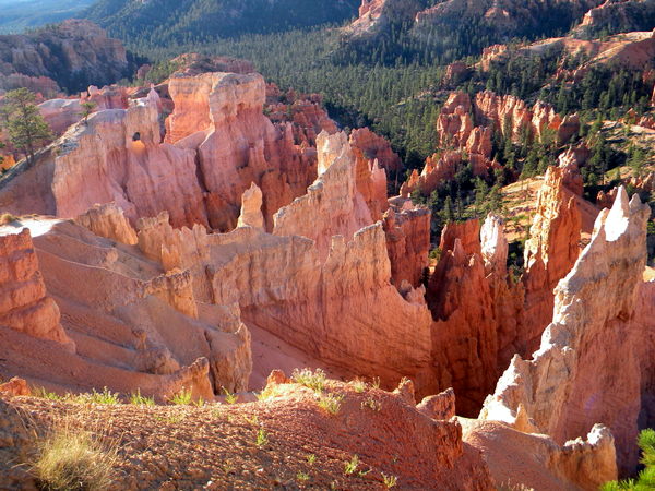 Lever de soleil sur Bryce Canyon 4