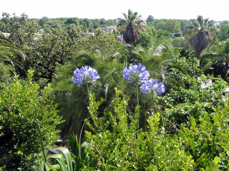 Vue sur les jardins