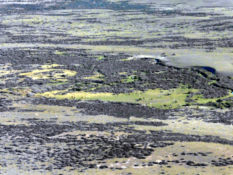 La steppe de Patagonie, vue d'avion