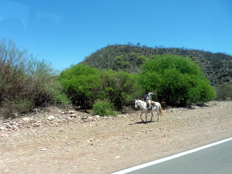 Un gaucho