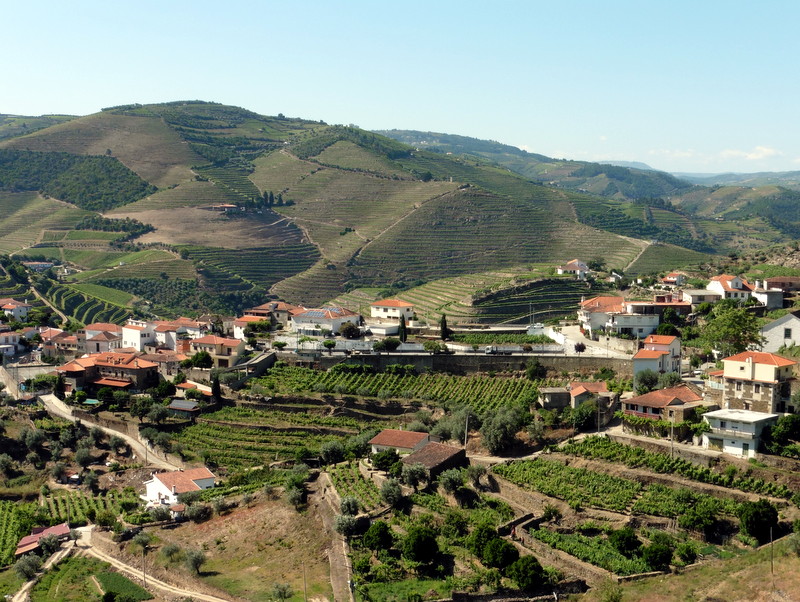 Le vignoble du porto