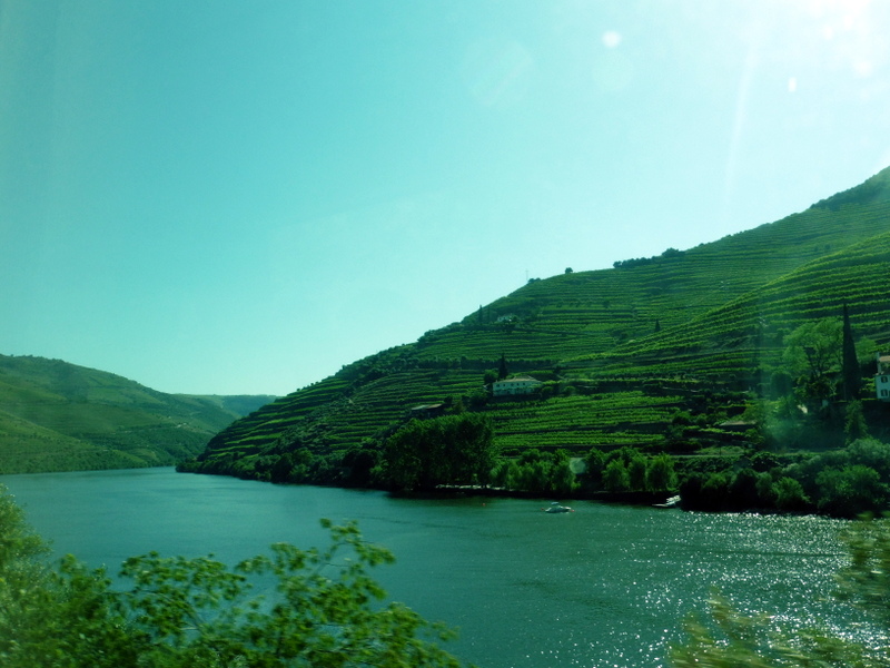 Les rives cultivées du Douro