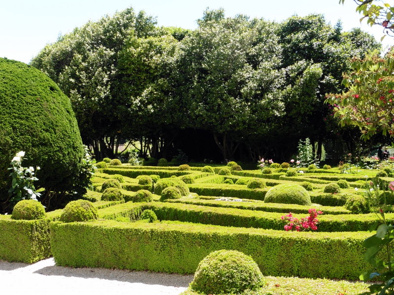 Jardin de buis