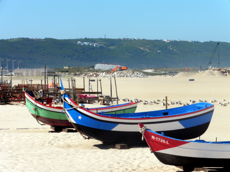 Derrière les barques, les mouettes