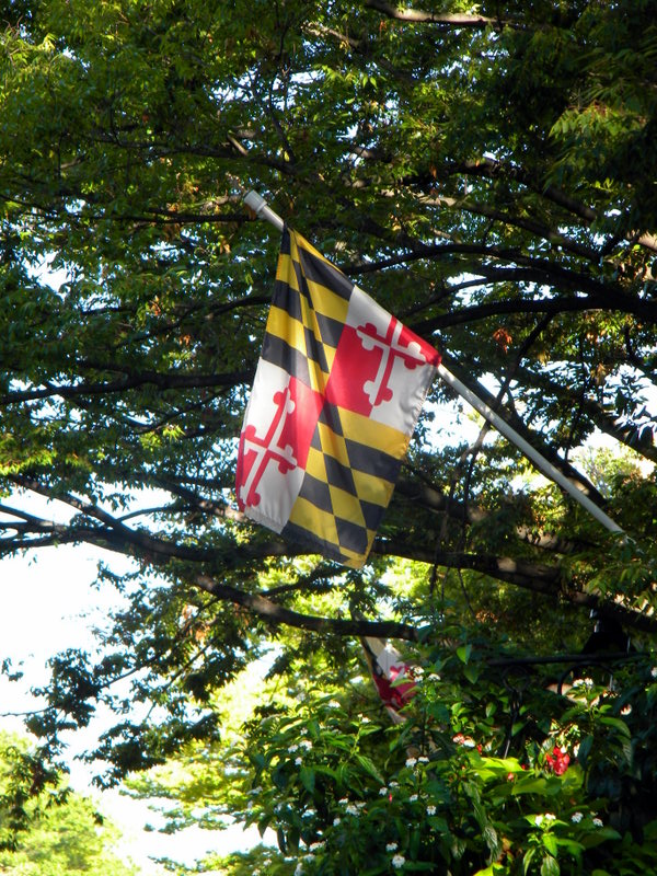 Drapeau du Maryland