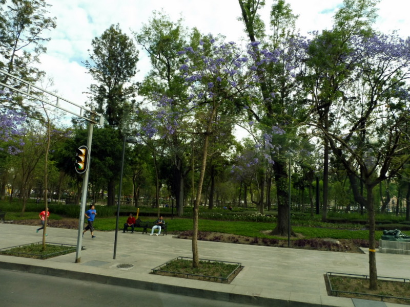 Le parc de l'Alameda