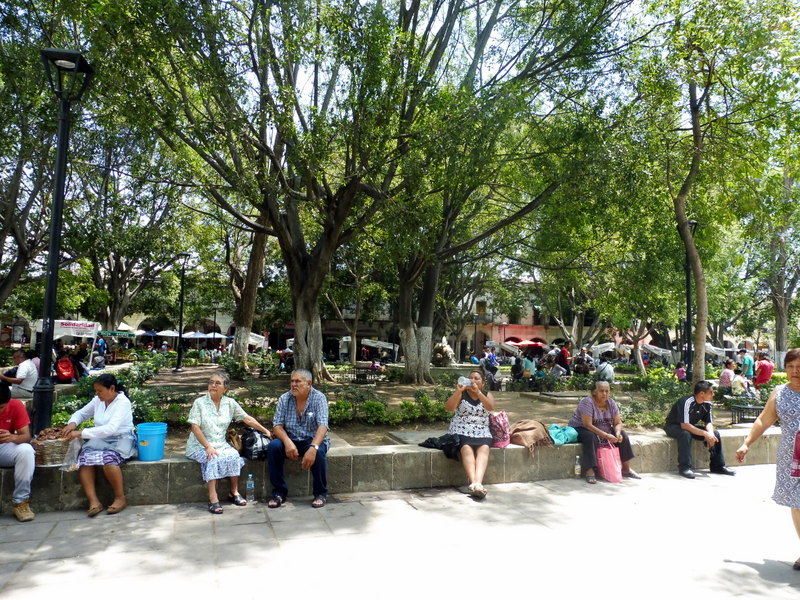 Sur le Zocalo