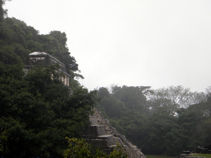 Le temple des Inscriptions au milieu de la jungle