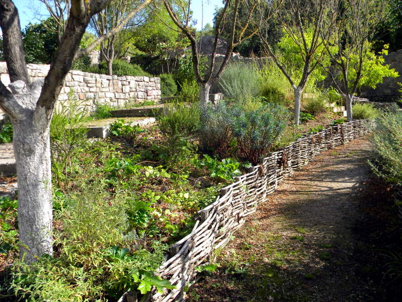 Abbaye du Thoronet, jardin des simples