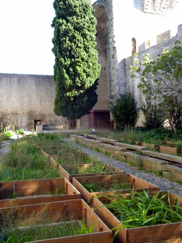 Château de Tarascon, jardin médiéval