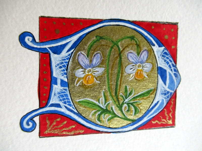 Enluminures, Lettrine "D"