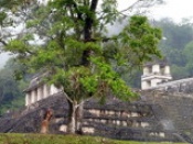 Le-palais.jpg